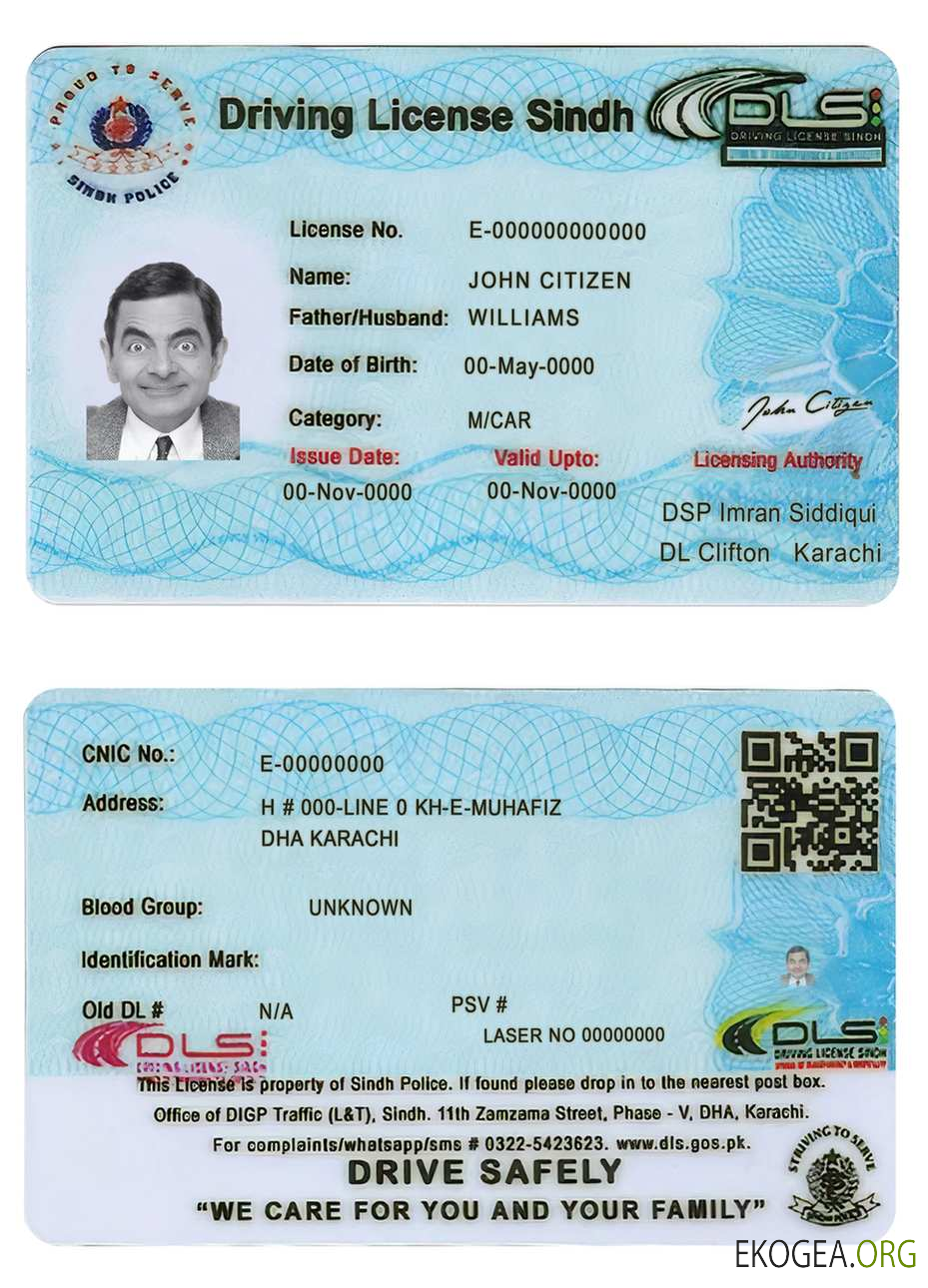 Pakistan Sindh province driving license (2016 present)